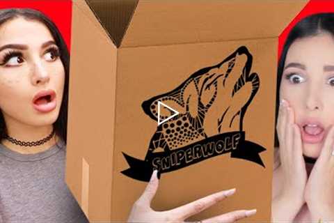 Sssniperwolf Mystery Box Unboxing