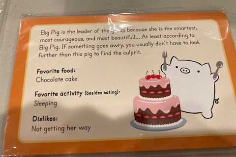 A Review of The Big Pig Game (A Cooperative Eating Board Game)